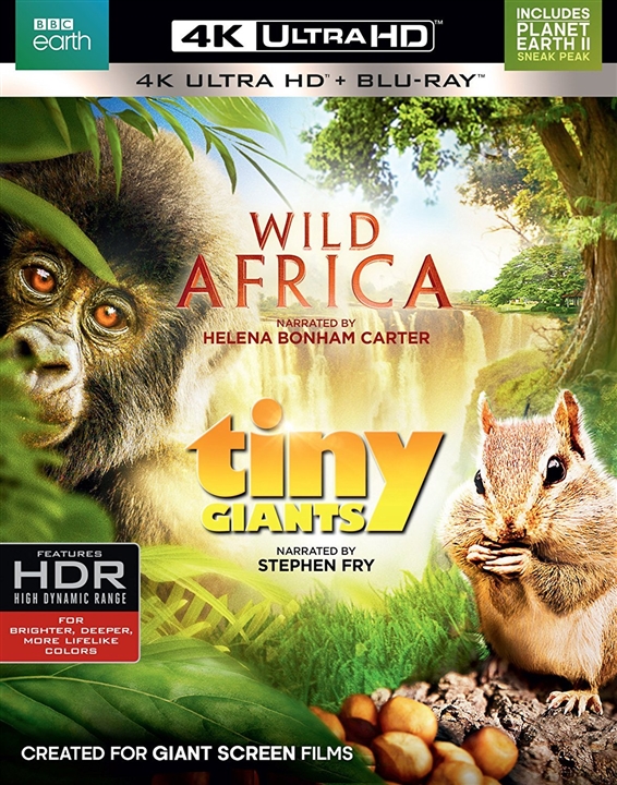 Wild Africa / Tiny Giants 4K (2014-2015) Ultra HD Blu-ray