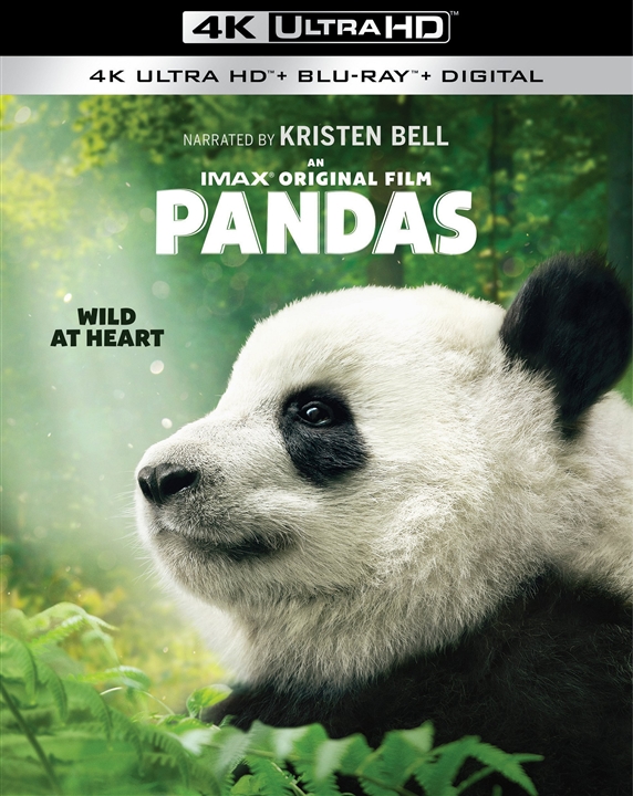 Pandas 4K (2018) Ultra HD