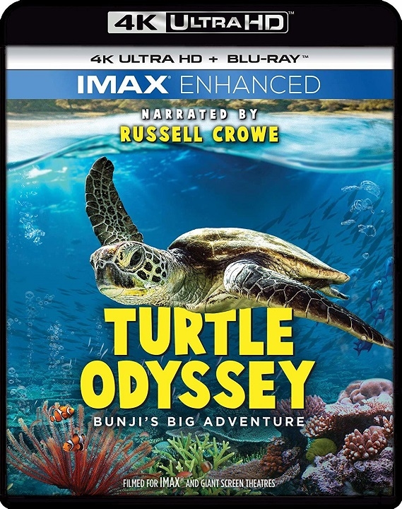 Turtle Odyssey (IMAX Enhanced)(4K Ultra HD Blu-ray)