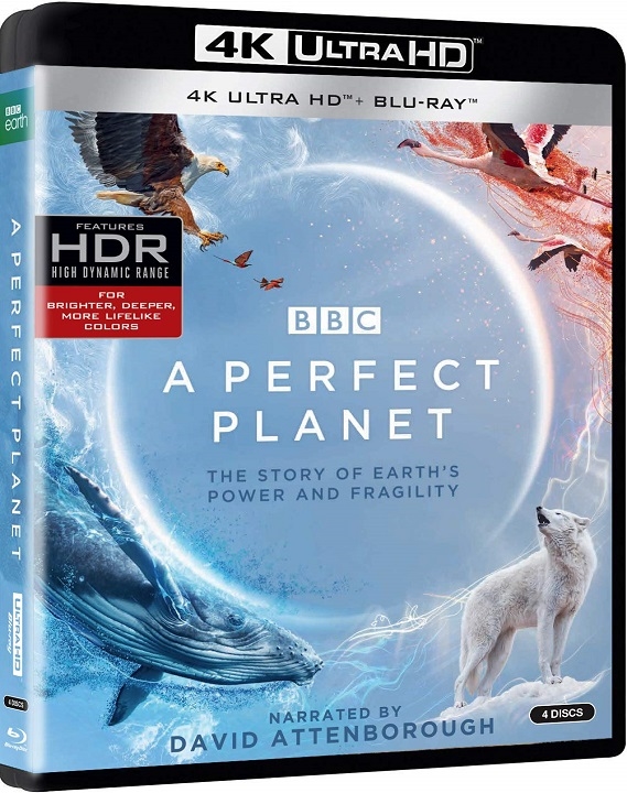 A Perfect Planet in 4K Ultra HD Blu-ray at HD MOVIE SOURCE